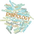 Word cloud for Embryology
