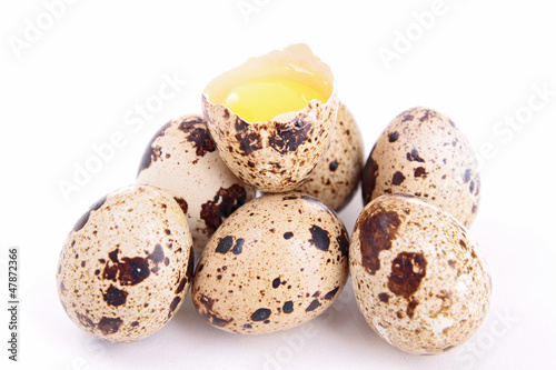 Photo: quail egg quail egg