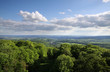 Blick auf den Taunuswald