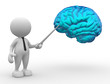 Brain