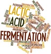 Word cloud for Lactic acid fermentation