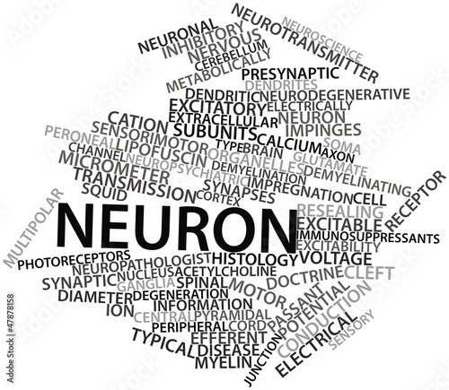Illustration: Word cloud for Neuron Word cloud for Neuron