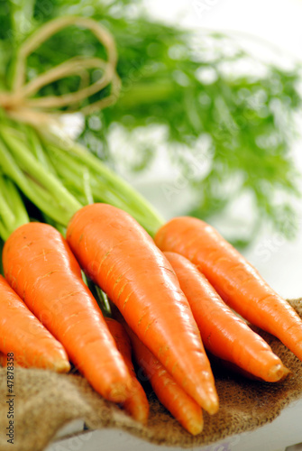 Photo: Carrots Carrots