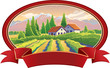 Vector: Solar landscape with vineyard Solar landscape with vineyard