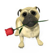 3D pug with rose
