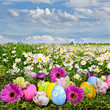 Bunte Osterwiese mit Blumen und Ostereiern