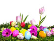 Bunte Osterwiese mit Ostereiern und Frühlingsblumen