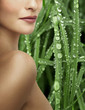 Foto: Régime et Beauté Corporel Régime et Beauté Corporel