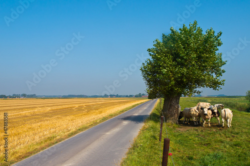 Photo: Straight Country Road Straight Country Road