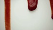 Herabtropfender Ketchup, Nahaufnahme