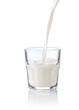 Milk splash in a glass