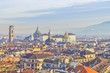Turin view