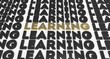 Lifelong Learning
