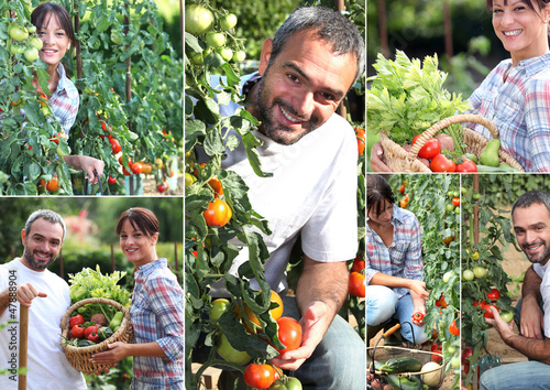 Photo: Collage of man and woman in their kitchen garden Collage of man and woman in their kitchen garden