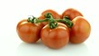 Closeup of tomatoes on the vine