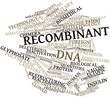 Word cloud for Recombinant DNA