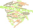 Word cloud for Reproductive system