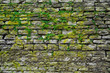 Stone gray extruding bricks