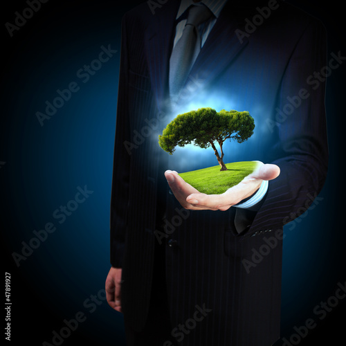 Photo: Green tree Green tree
