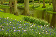 Photo: spring garden Keukenhof, Netherlands spring garden Keukenhof, Netherlands