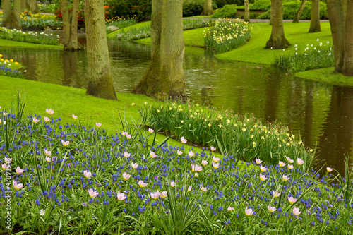 Photo: spring garden Keukenhof, Netherlands spring garden Keukenhof, Netherlands
