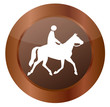 Vektor Reiten