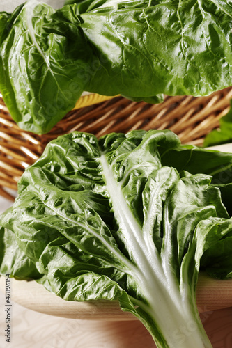 Photo: chard leaves chard leaves