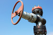 Oil valve of an oil well mouth