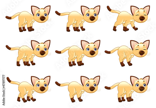 Vector: Cat walking animation. Cat walking animation.