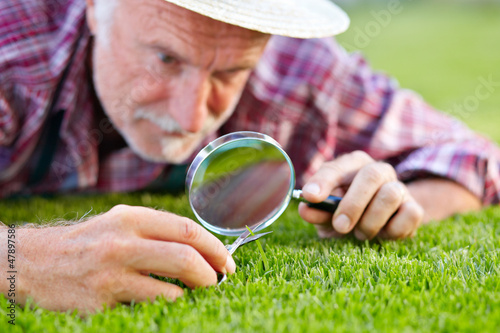 Photo: Close up of senior gardener cutting grass 2 Close up of senior gardener cutting grass 2