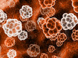 orange molecules