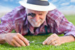 Close up of senior gardener cutting grass 3