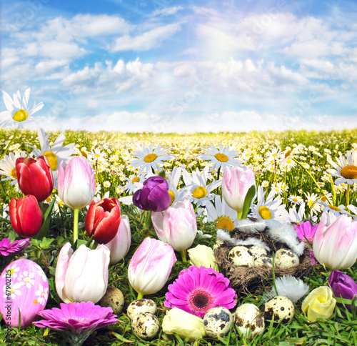 Photo: Frohe Ostern: wunderschöner Frühlingstag Frohe Ostern: wunderschöner Frühlingstag