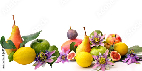 Photo: Obst: Früchte-Vielfalt, freigestellt vor weißem Hintergrund Obst: Früchte-Vielfalt, freigestellt vor weißem Hintergrund