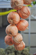 Onions