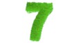 Illustration: Grassy Seven Grassy Seven