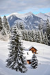 Wintertraum
