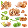 Collections of Walnuts isolated on white background, closeup