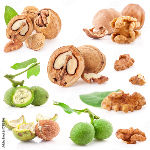 Photo: Collections of Walnuts isolated on white background, closeup Collections of Walnuts isolated on white background, closeup