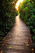 Wooden Bridge