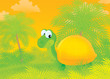 turtle walking in a tropical forest