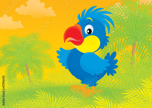 Illustration: Parrot Parrot