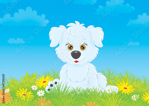 Illustration: White pup sitting on grass among wildflowers White pup sitting on grass among wildflowers