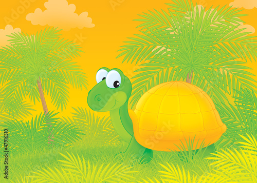 Illustration: turtle walking in a tropical forest turtle walking in a tropical forest