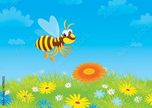 Illustration: wasp flying over a meadow with wildflowers wasp flying over a meadow with wildflowers