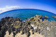 Grand Cayman Coast
