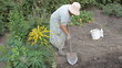 The gardener