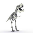 t-rex skeleton