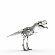 t-rex skeleton