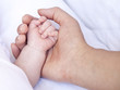 Photo: Mano nella mano Mano nella mano